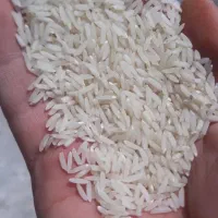 برنج هاشمی و زرد دم