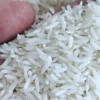 خرید و فروش برنج ایرانی و خارجی در حد صادرات