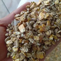 خرید وفروش خوراک دام و طیور|عمده‌فروشی|تربت جام, علوی|دیوار