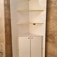 قفسه ایستاده