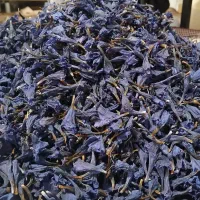 گل گاوزبان و الو خشک