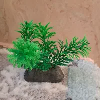 لوازم آکواریوم|لوازم جانبی حیوانات|دماوند, گیلاوند|دیوار