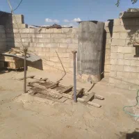 کارگاه-دام-پروری