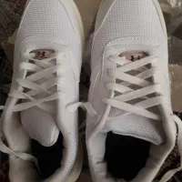 کفش|کیف، کفش، کمربند|بیرجند, |دیوار