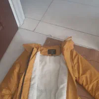 بارونی کوتاه سایز ۳۸|لباس|دورود, |دیوار