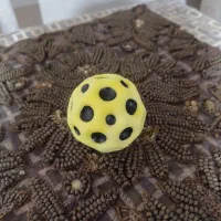 توپ پرشی|ورزشهای توپی|پاکدشت, پاکدشت (مامازند)|دیوار