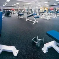 کفپوش های رولی sbr و epdm|تجهیزات ورزشی|ماهدشت, |دیوار