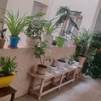 کلیه امورات نظافت راه پله ومنازل پذیرفته میشود