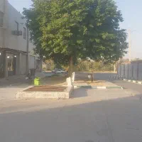 شرکت بسته بندی میگو