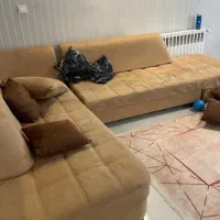 همخونه یا همخانه