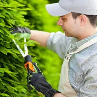 سرایدار و باغبان