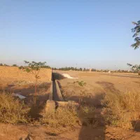 جاده قمصر پدیده  خیابان ۲۴متری ابتدای خیابان|فروش زمین و ملک کلنگی|کاشان, دشت لتحر|دیوار