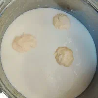 لبنیات محلی