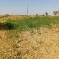 اجاره زمین کشاورزی|اجارهٔ دفتر صنعتی، کشاورزی، تجاری|دشتابی, |دیوار