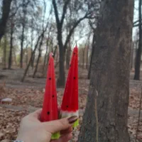 شمع یلدا|صنایع دستی و سایر لوازم تزئینی|بجنورد, |دیوار