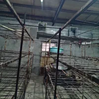 اجاره سالن قارچ