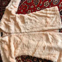 پالتو نو بدون استفاده