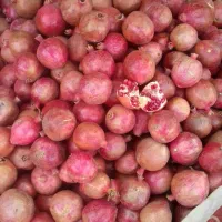 انار فردوس|خوردنی و آشامیدنی|اسلامیه, |دیوار