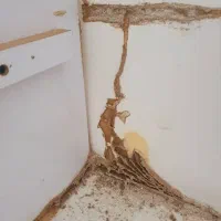 سمپاشی وموریانه زدایی باضمانت نامه کتبی|خدمات نظافت|امیدیه, |دیوار