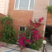 سوئیت-تک-خواب-تمیزوشیک