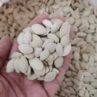 تخمه کدو اعلا خوشمزه و تازه|خوردنی و آشامیدنی|کرج, کوی کارمندان جنوبی|دیوار