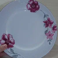 سرویس چینی زرین