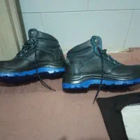 کفش نو|کیف، کفش، کمربند|فلاورجان, |دیوار