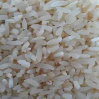 برنج محلی کوهمره سرخی
