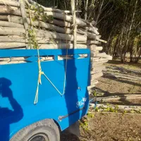 باسلام خریدارگردو صنوبرزردآلو سیب وغیره۰۰۰|خدمات باغبانی و درختکاری|نهاوند, |دیوار