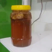 تقریبا سه کیلو عسل طبیعی اصل اصل کیلو ۳۵۰۰|خوردنی و آشامیدنی|لیکک, |دیوار