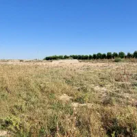 زمین سیامنصور|فروش دفتر صنعتی، کشاورزی، تجاری|دزفول, |دیوار