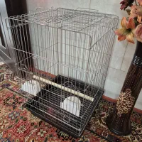 قفس 1033 کاملا نو