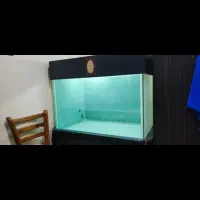 اکواریوم بزرگ|ماهی|تهران, مسعودیه|دیوار