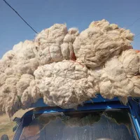 فروش انواع پشم