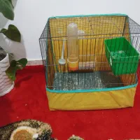 قفس پرنده|لوازم جانبی حیوانات|کرمانشاه, |دیوار