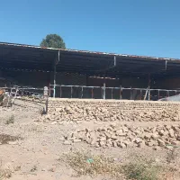 ایرانیت و ستون و آهن