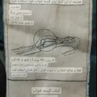 کیسه خواب اصل|کوهنوردی و کمپینگ|تهران, شهرک نفت|دیوار