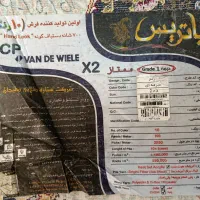 فروش فرش|فرش|شیراز, بهارستان|دیوار