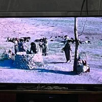تلوزیون هایسنس