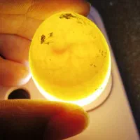 فروش چندقناری محلی