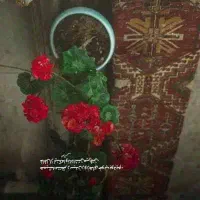 انرژی  خوانی وانواع فال وشمع تراپی