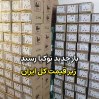 نوکـیا حراج|موبایل|اردبیل, |دیوار