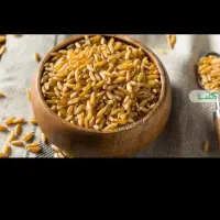 خریدوفروش گندم و جو