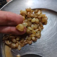 ترشی گل سیر دون شده|خوردنی و آشامیدنی|اصفهان, شاهزید|دیوار