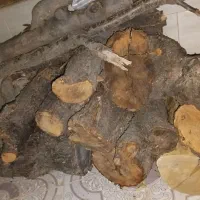 چوب هیزمی شومینه،کمپ،دورهمی