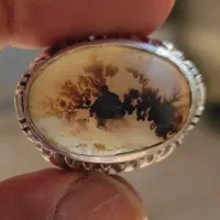 انگشتر شجر قاءنات