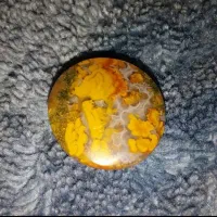 سنگ شجر دریایی