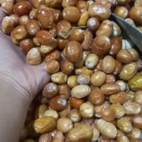 سنجد|خوردنی و آشامیدنی|دلیجان, |دیوار