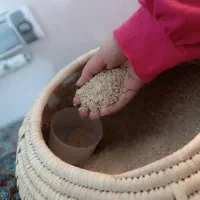 برنج چمپا و عنبر بو ۱/۸۰۰