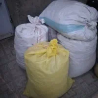 فضله کبوتر